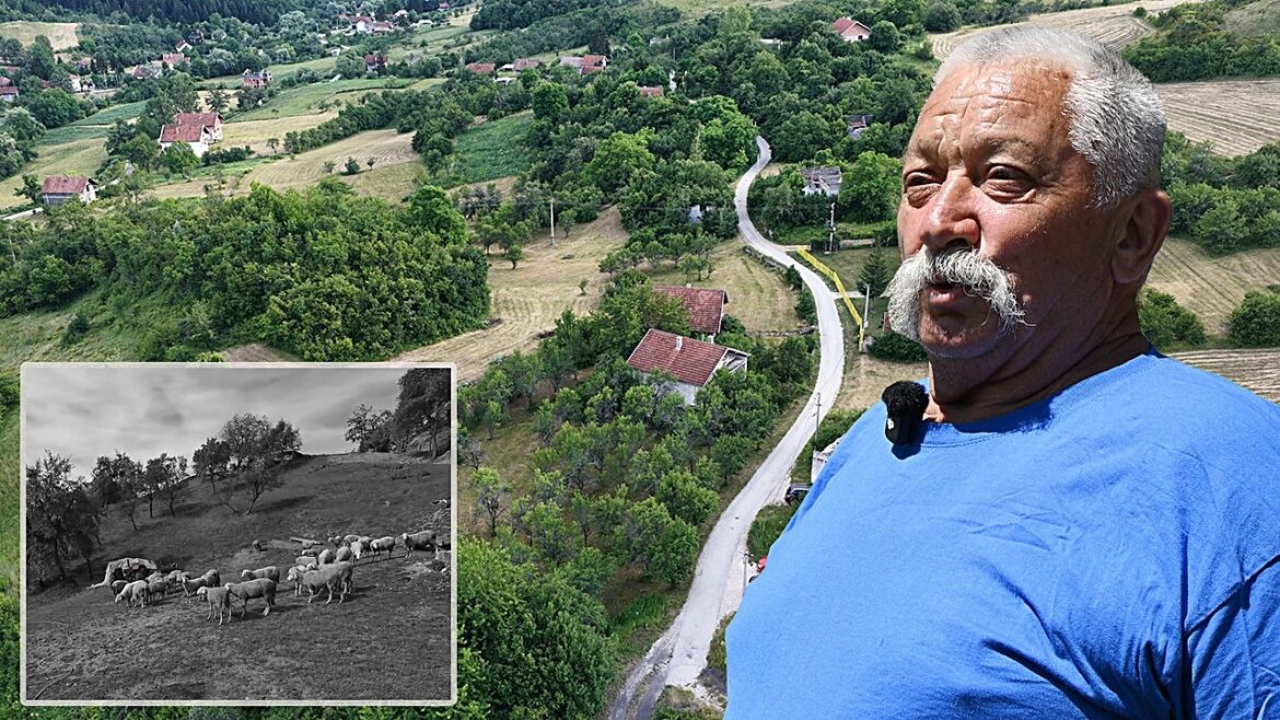 prvi povratnik