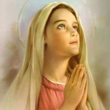 images (1)
